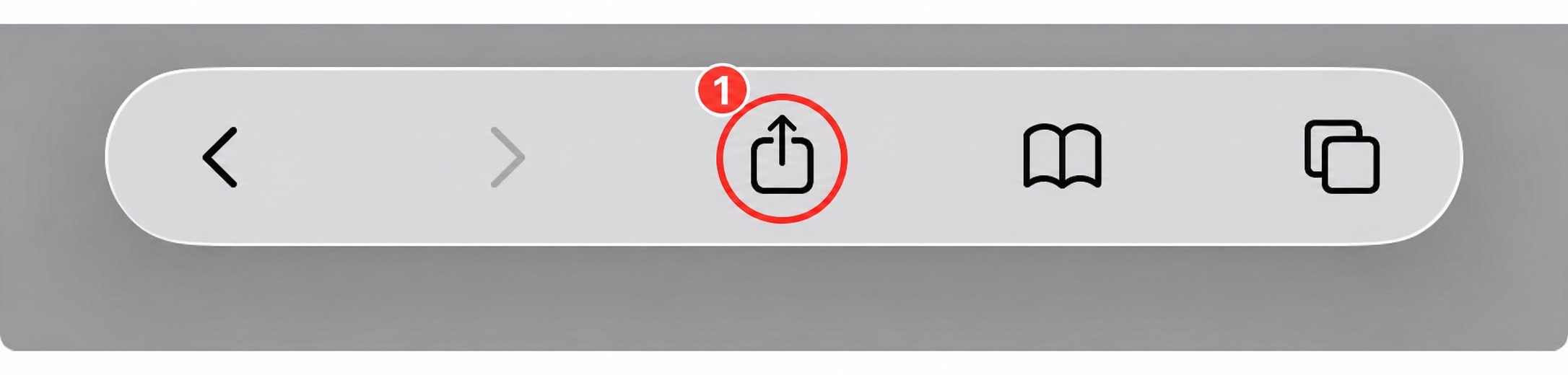 Tap the Share button in the browser toolbar.